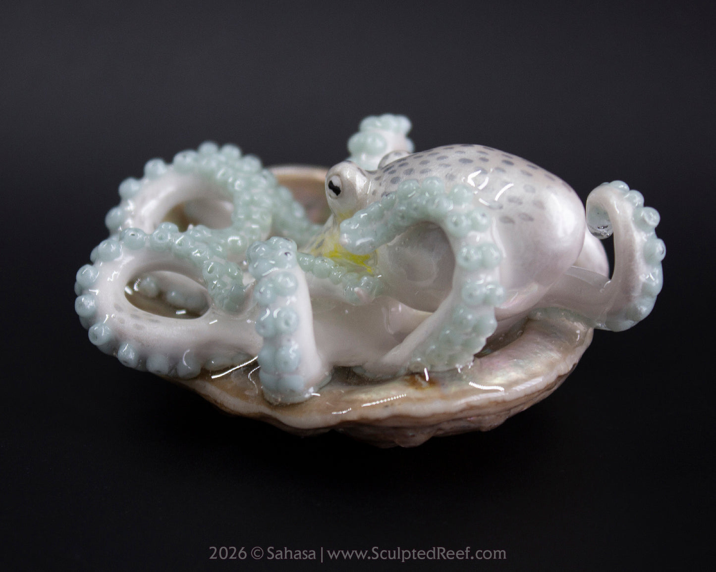 WULAN - Shelltopus - OOAK Coconut Octopus Sculpture