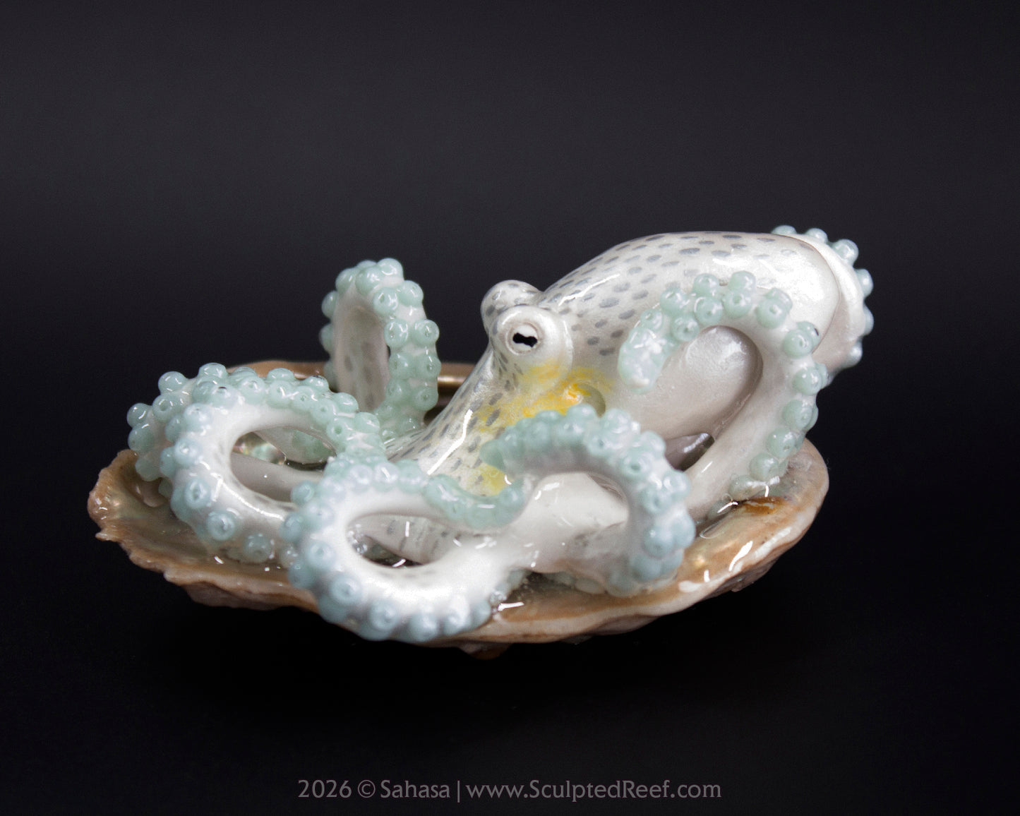 WULAN - Shelltopus - OOAK Coconut Octopus Sculpture