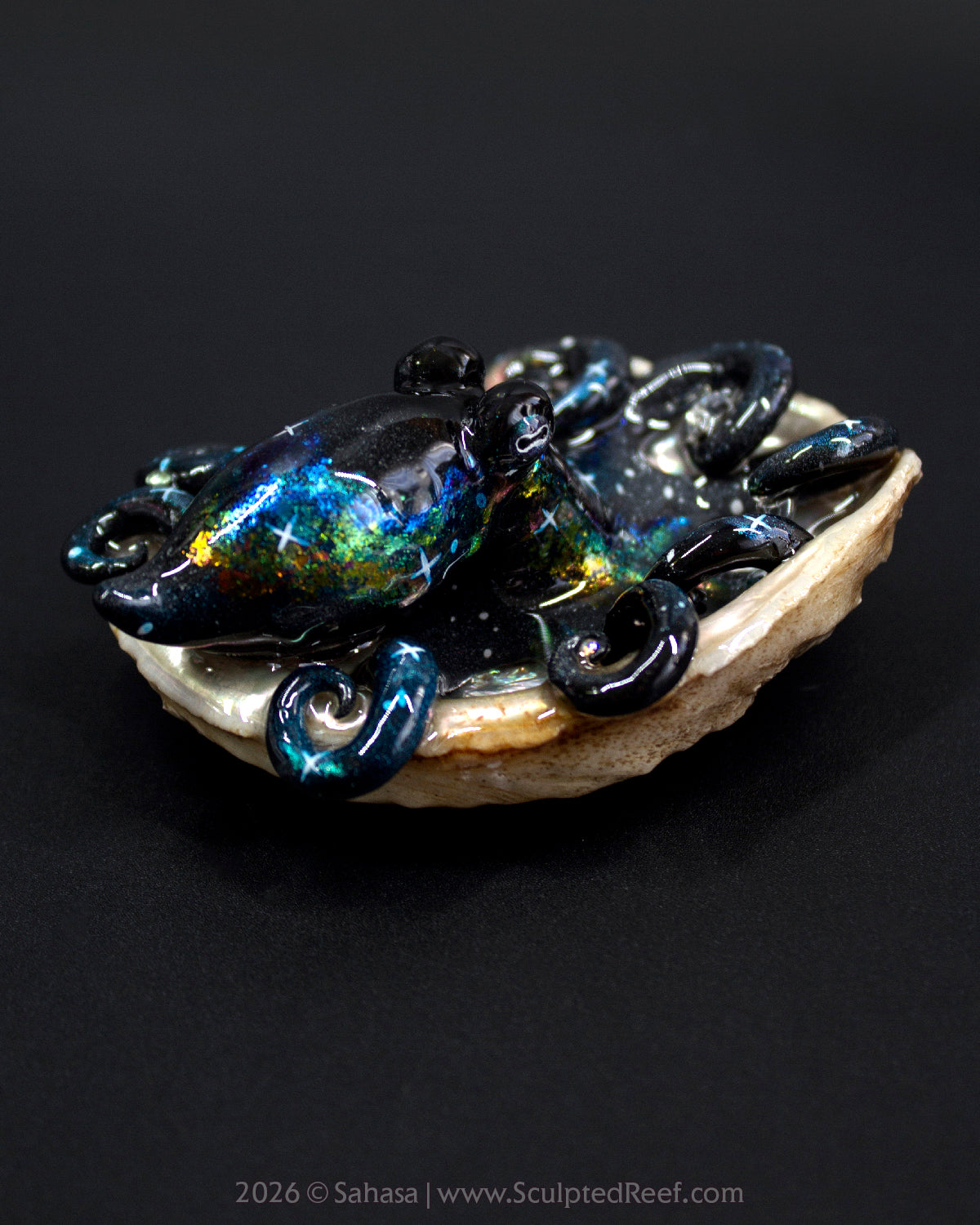 THALASSA - Shelltopus - OOAK Nebula Octopus Sculpture