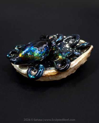 THALASSA - Shelltopus - OOAK Nebula Octopus Sculpture