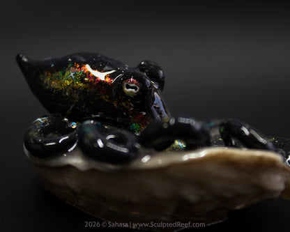 CORDELIA - Shelltopus - OOAK Nebula Octopus Sculpture