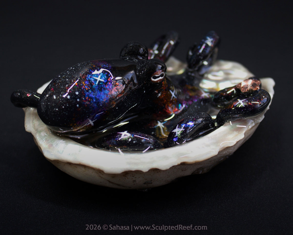 CELAENO - Shelltopus - OOAK Nebula Octopus Sculpture