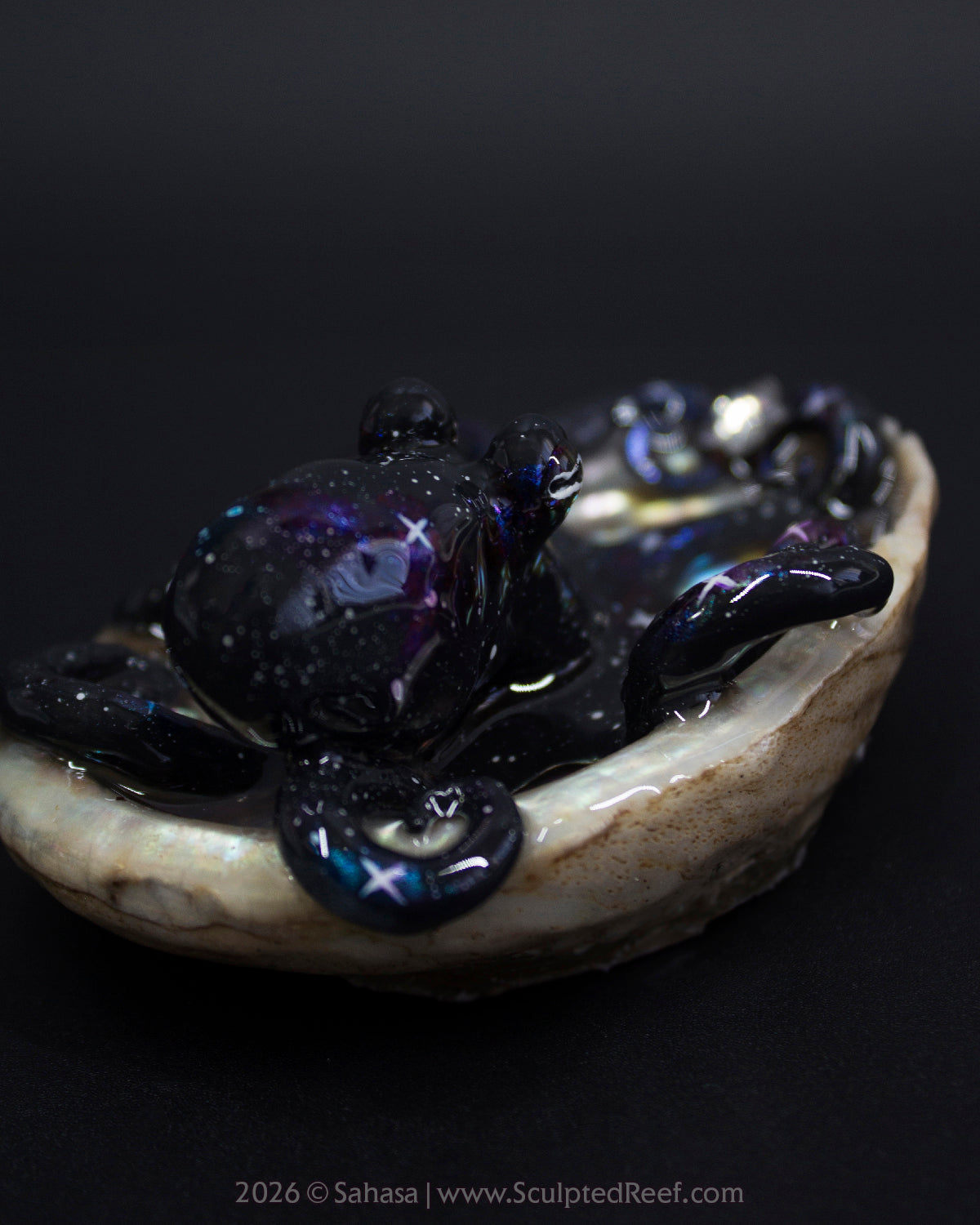 IANTHE - Shelltopus - OOAK Nebula Octopus Sculpture