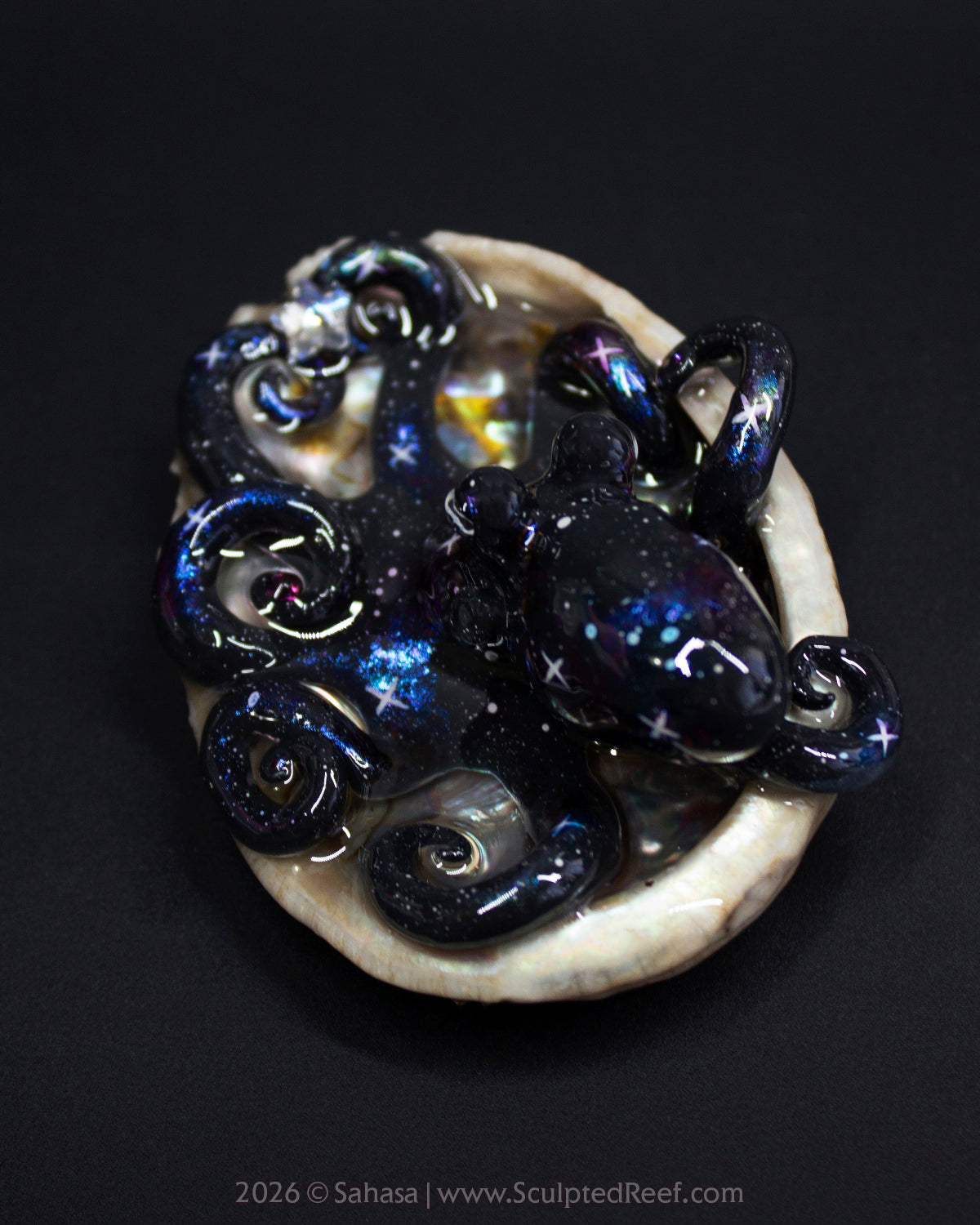 IANTHE - Shelltopus - OOAK Nebula Octopus Sculpture
