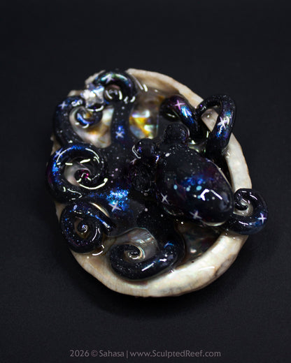 IANTHE - Shelltopus - OOAK Nebula Octopus Sculpture