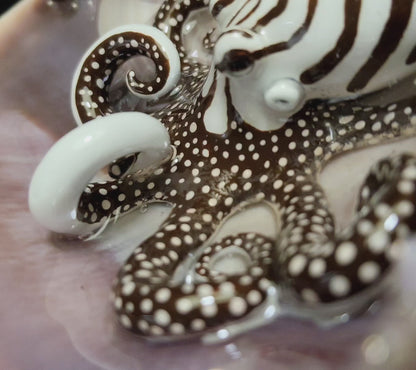 READ DESCRIPTION - No.16 "Jewel" Sculpted Reef Series - Larger Pacific Striped Octopus Sculpture